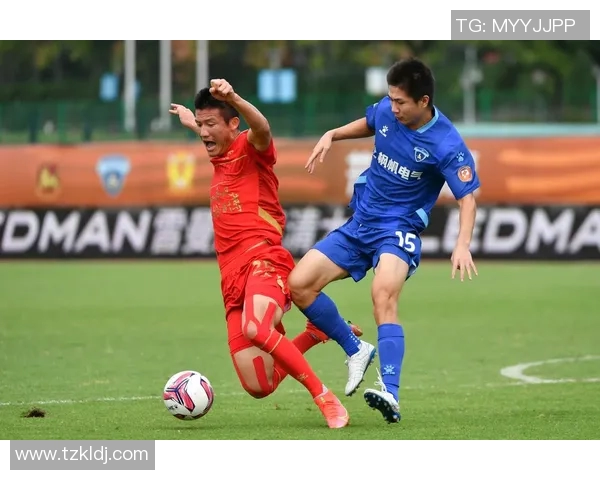 南京足球队运营分析：成败得失的深度探讨与未来展望